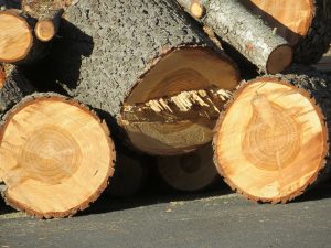 using natural materials in the early years