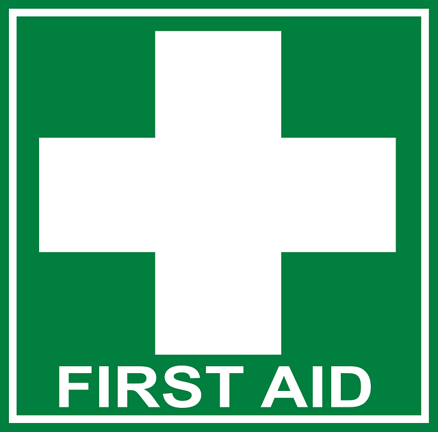 all nursery staff to hold paediatric first aid